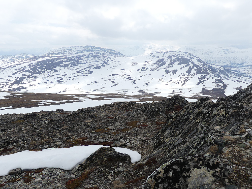 Svahøa og Tyrikvamfjellet fra Høghøa i nord.