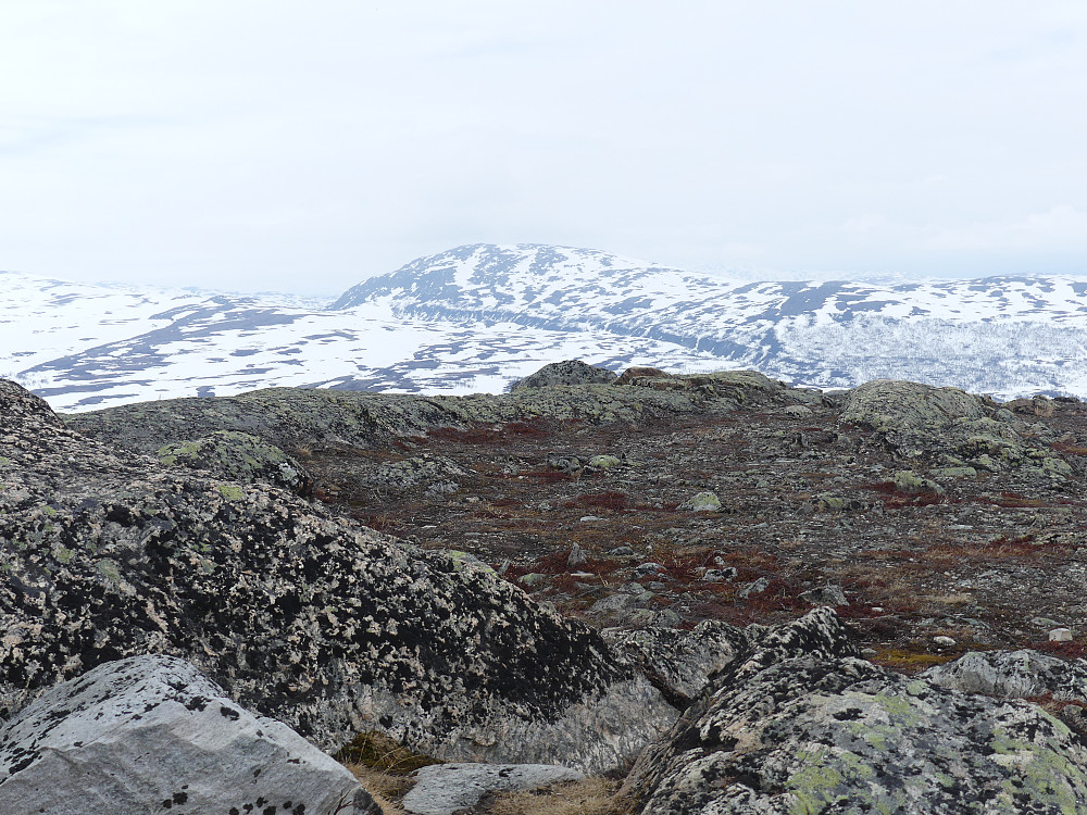 Gråfjellet i Rennebu fra Grønhøa.