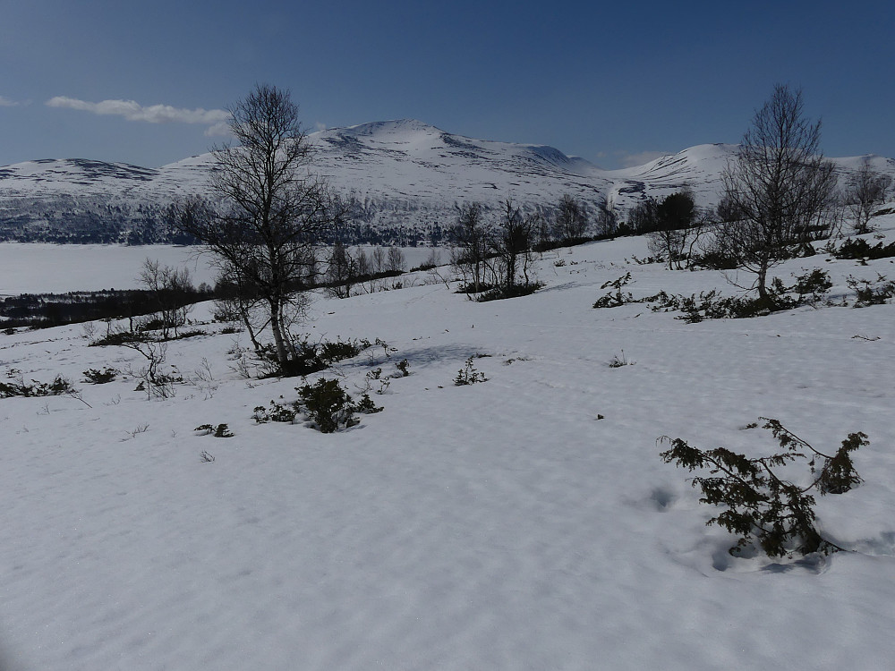 Storhornet og Nonsfjellet fra Kvalsjordsætra.