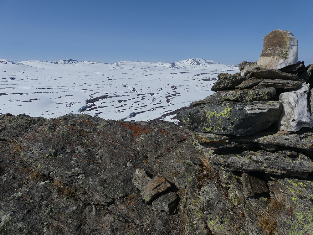 På Tyrikvamfjellet, 1252 moh.