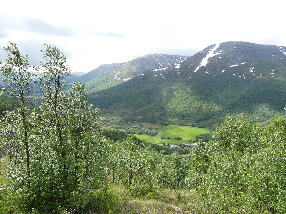 Skoggrensa er nådd og jeg kan nyte utsikten sørover Storlidalen..