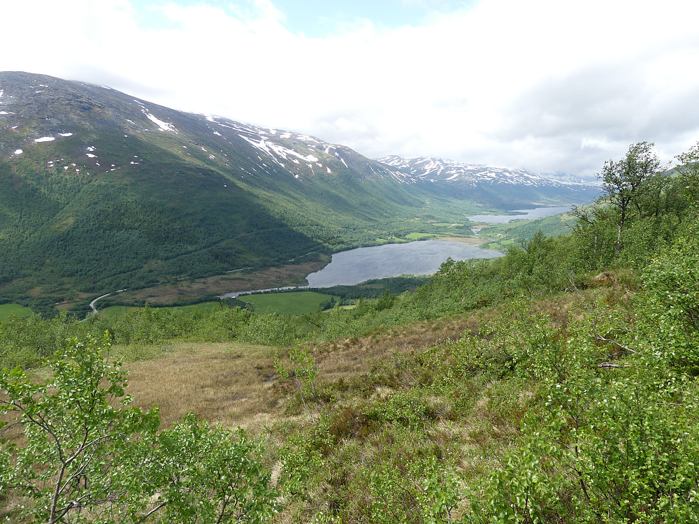 ..og nordover mot Dalsvatnet.