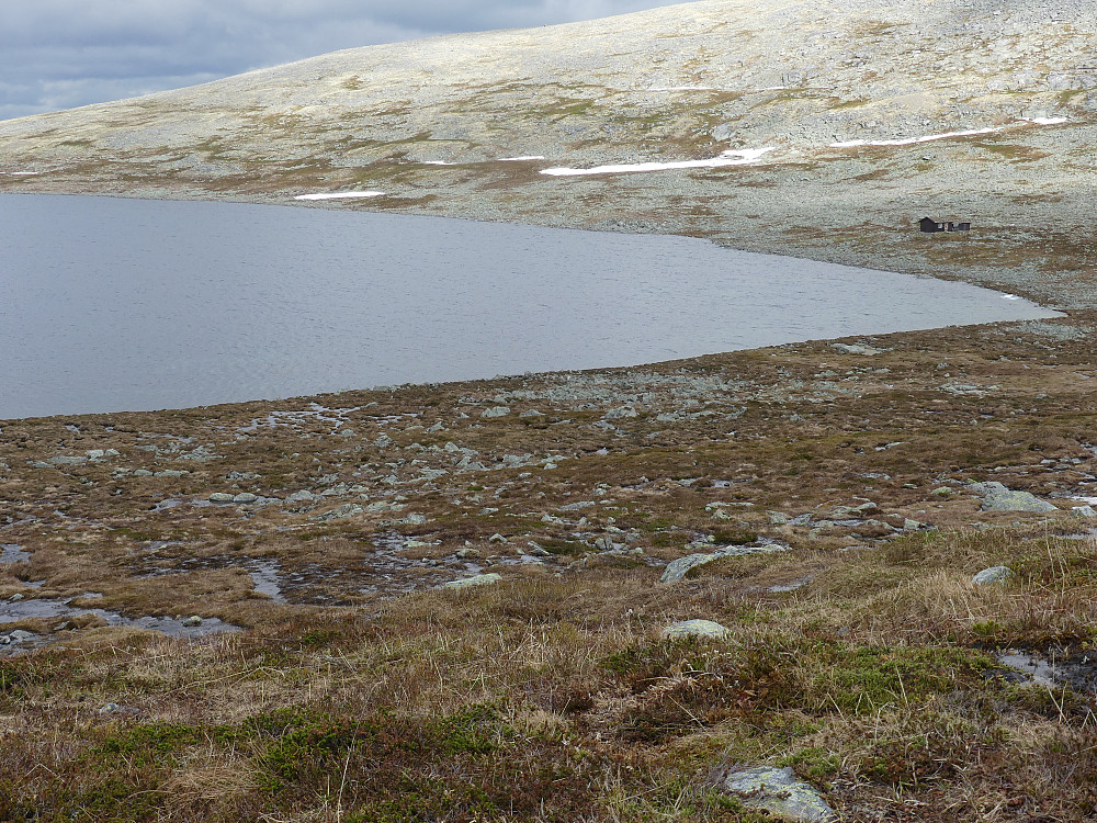 Bua ved Korgtjønna.