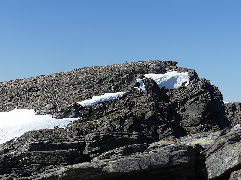 Turid på vei opp de siste metrene til toppen av Blåtinden, 1142 moh.