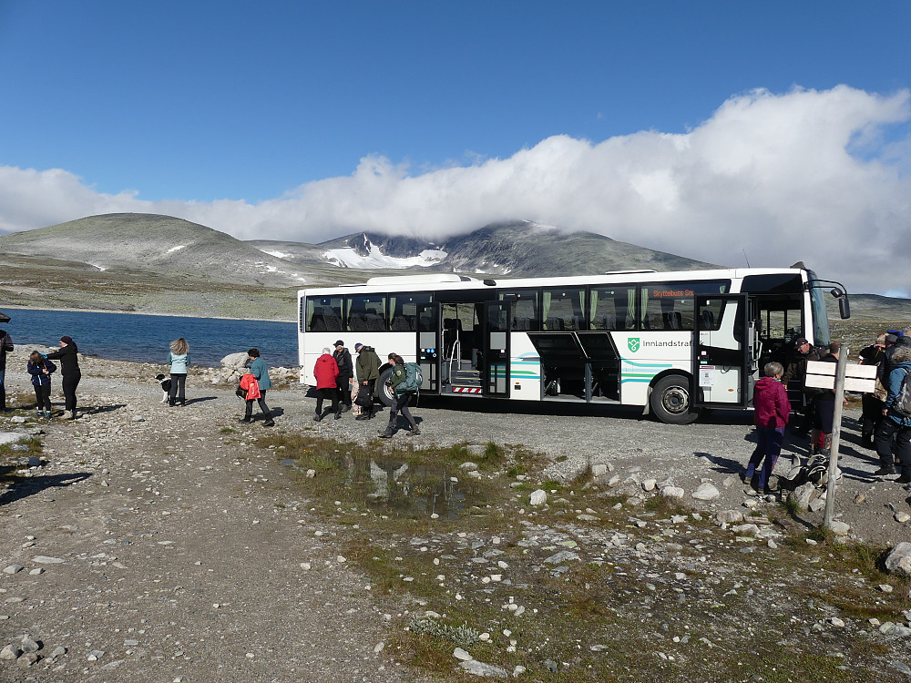 Det er folksomt på Snøheim i dag.
