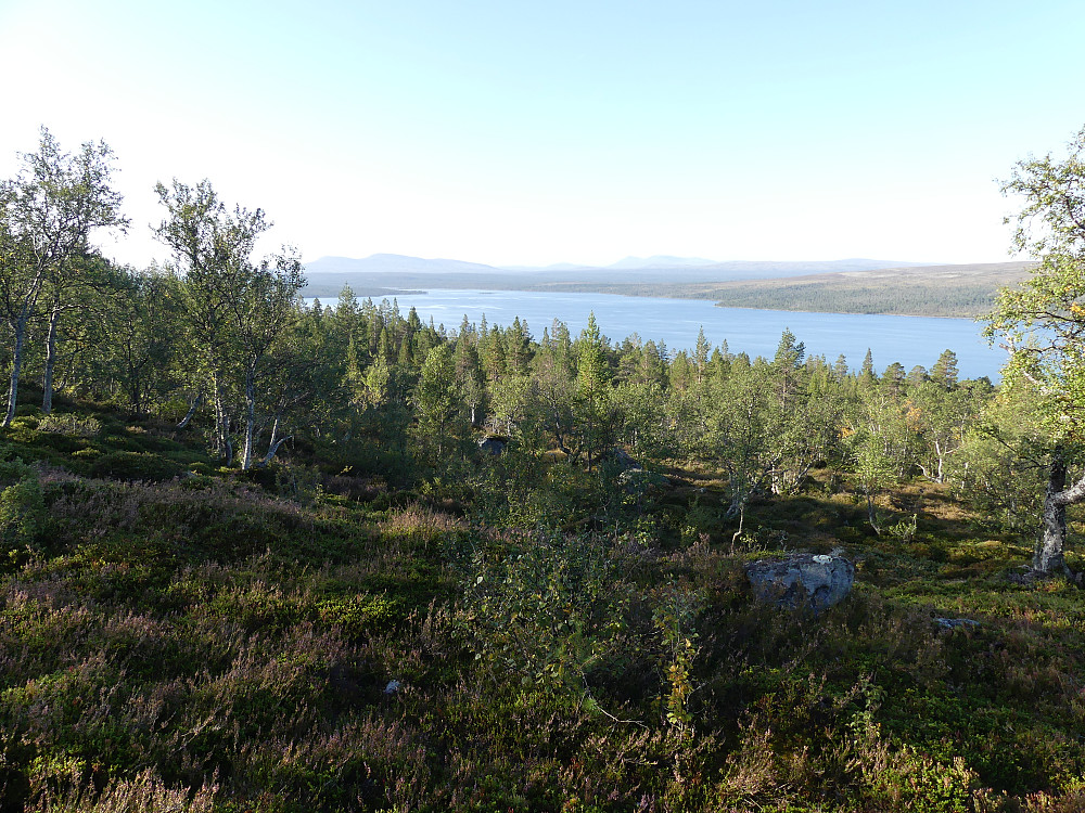 Jeg har karret meg gjennom skogbandet og får utsikt over innsjøen Feragen.