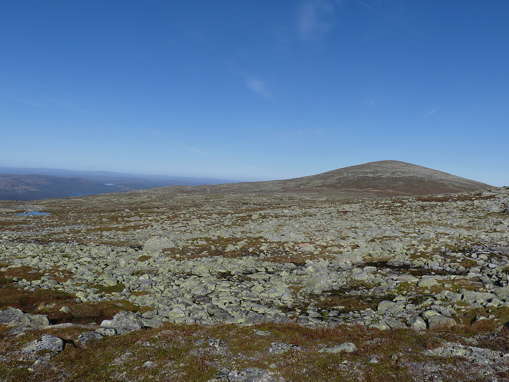 Vigltjønnhøgda fra sør.