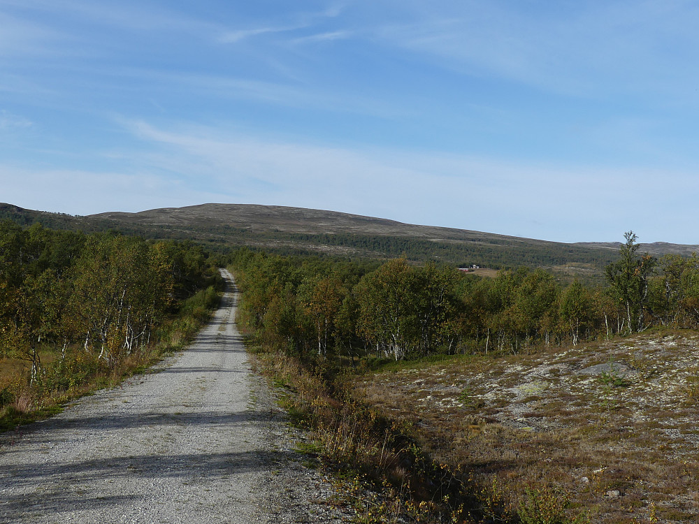 Gråhøgda fra Marenvollen p-plass.