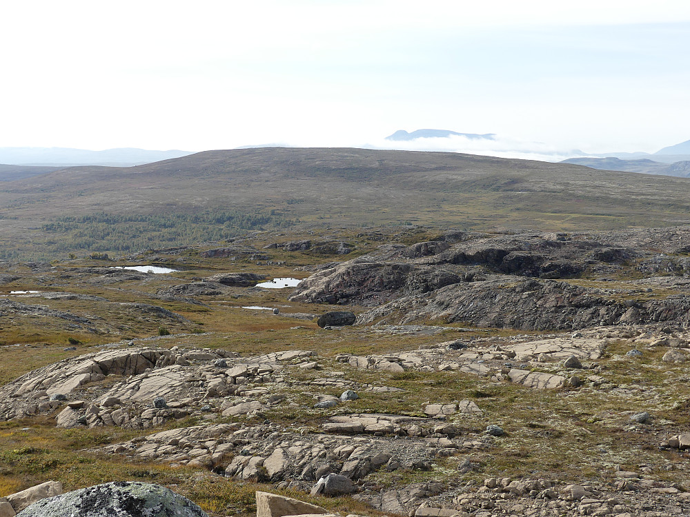 Gråhøgda med Gloføken i bakgrunnen.