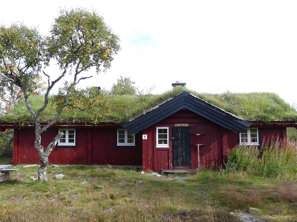 Jeg går om Marenvollen på hjemveien.