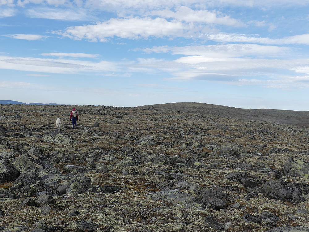 Rolige fjellformasjoner på disse kanter. Vi er snart oppe på sørtoppen av Høg-Gia. Hovedtoppen i bakgrunnen.
