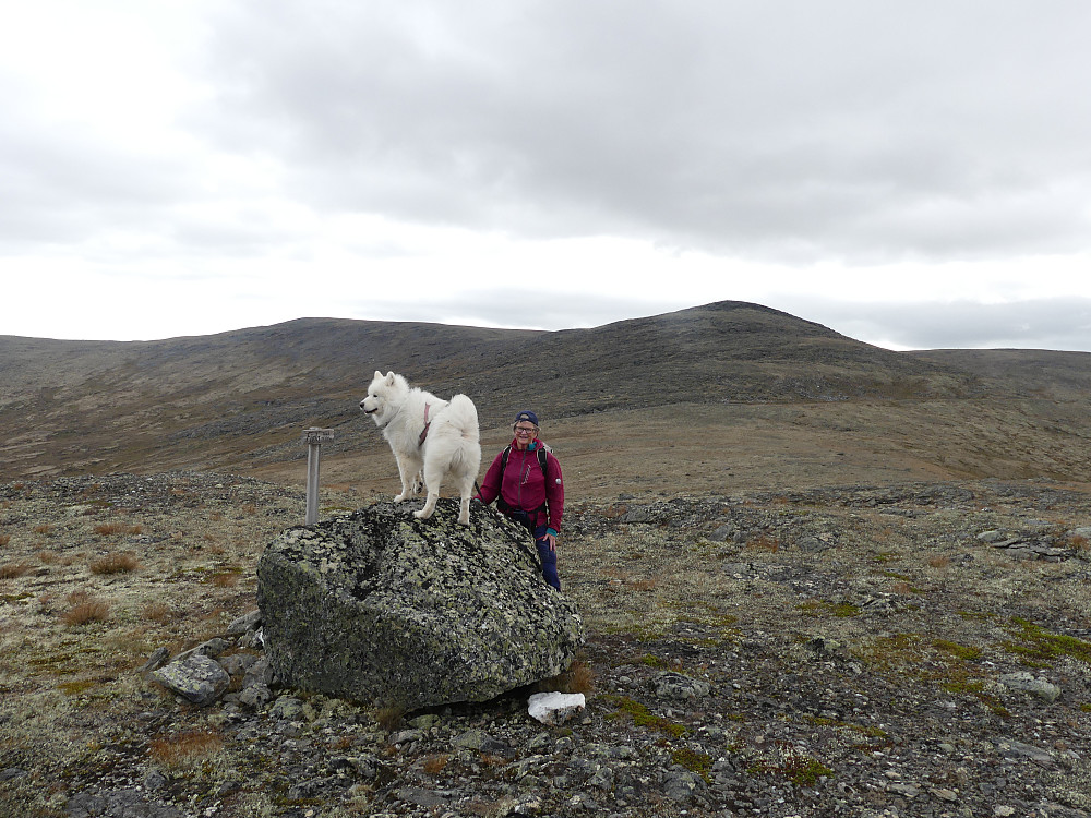 På toppen av Fjøla. Marsjøfjellet og Saga (nærmest) i bakgrunnen.
