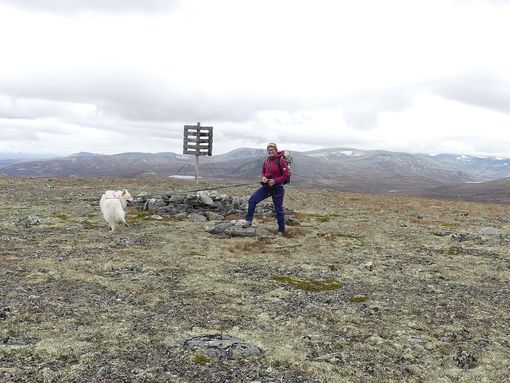 På Grisunghøe, 1387 moh.