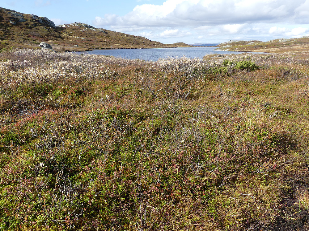 978-tjernet på Njuanabaertie.