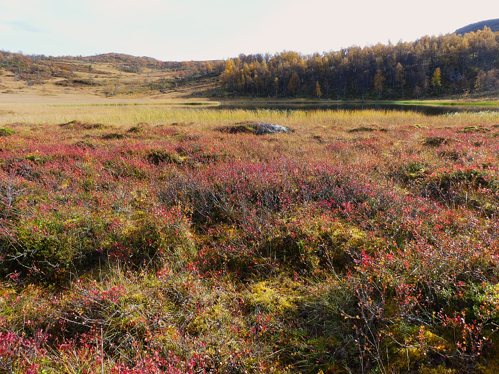 Tross navnet; det var idyllisk ved Svarttjernet.