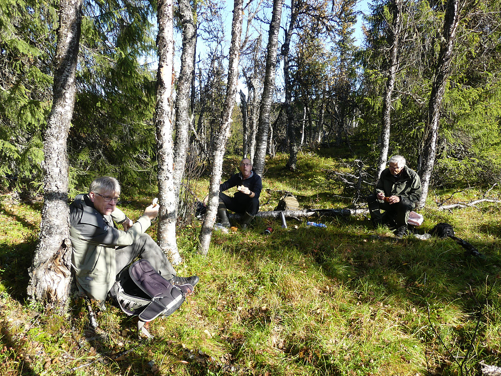 Finværet la godt til rette for en lang pause i artsjakta.