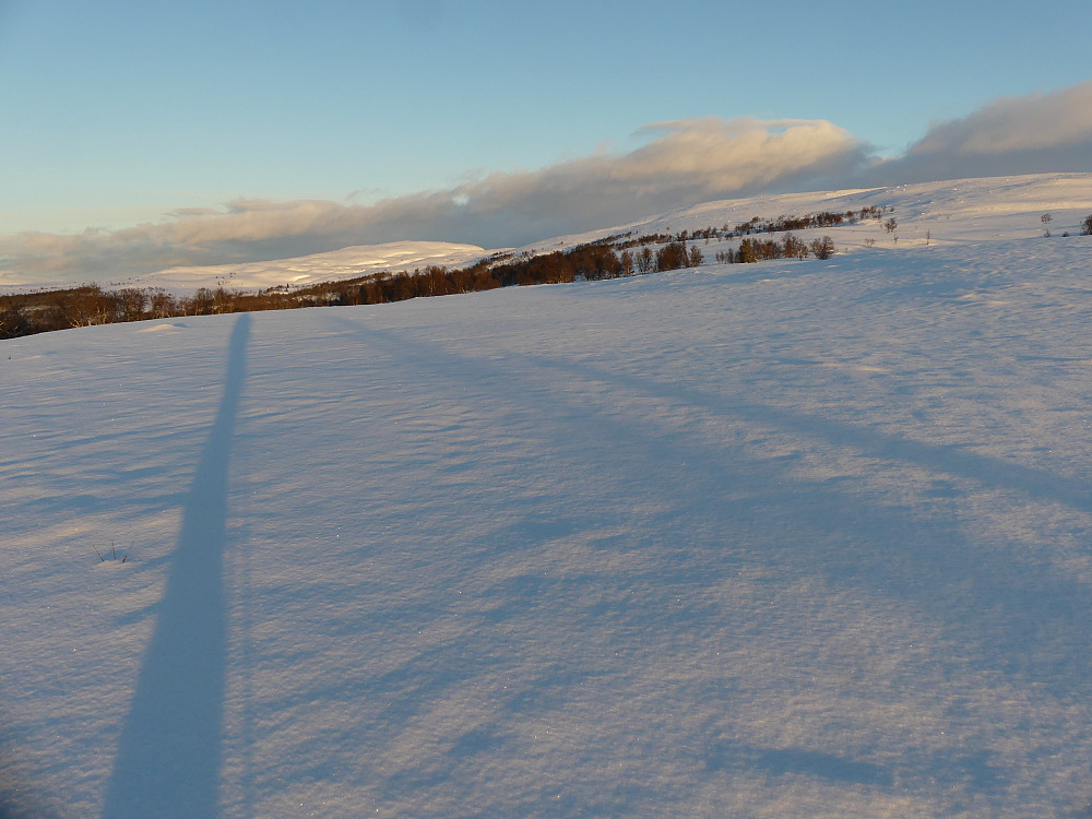 Skogen er unnagjort og jeg kaster skygge mot Torbertjønnhøgda. Midthøgda til høyre.