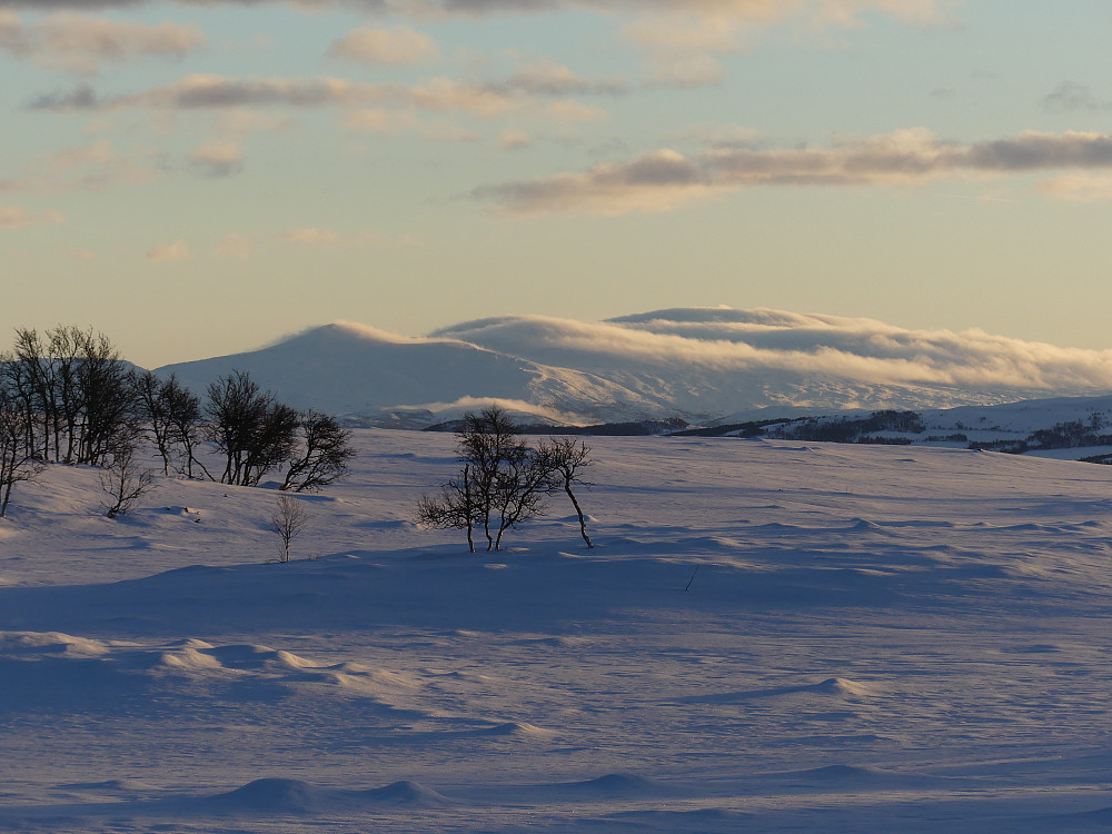 Det er morraståke på Viglfjella.