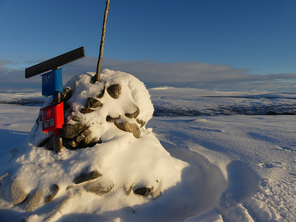 På Midthøgda, 947 moh.