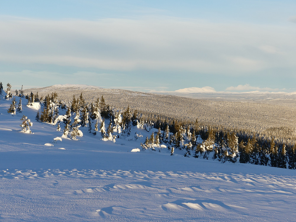 Nordover til Rendalssølen.