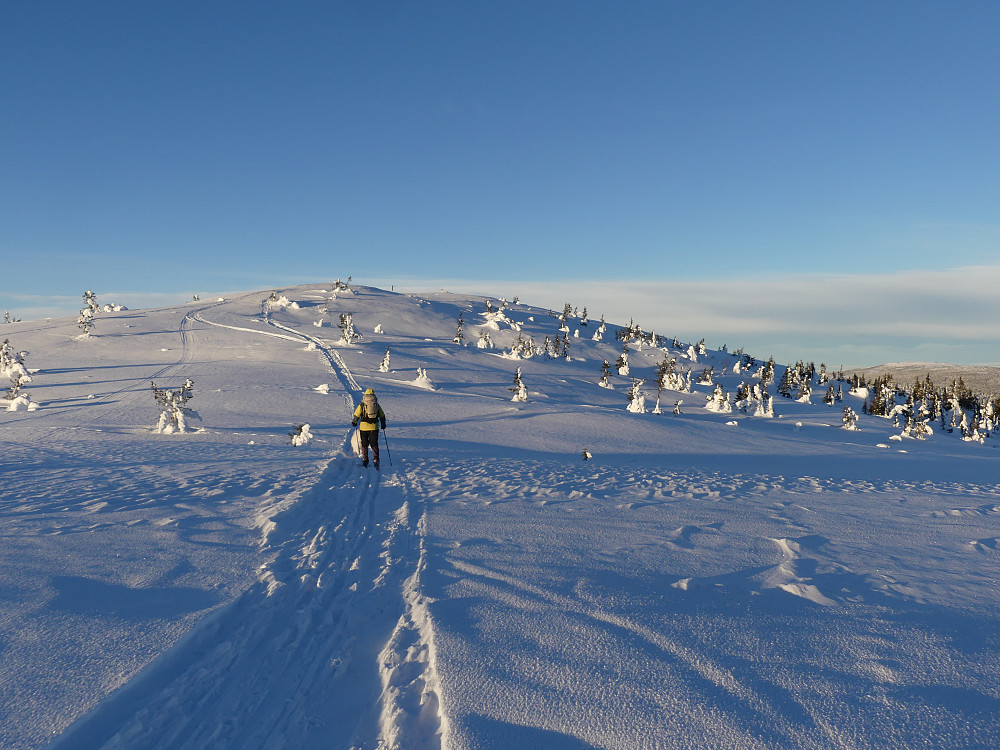 Med toppen i sikte!