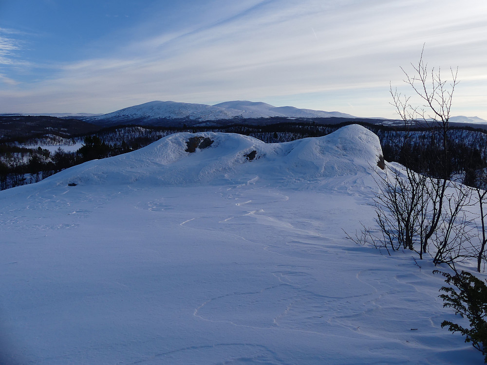 Fra den 1 meter lavere nordtoppen med fri utsikt til Gråhøgda. 