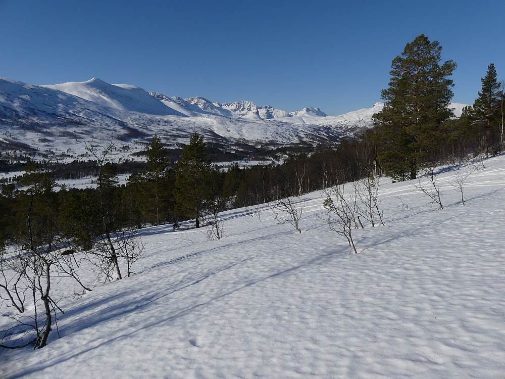 Mot Innerdalen og fjellene deromkring. Fra ovenfor Bårdsgarden. 