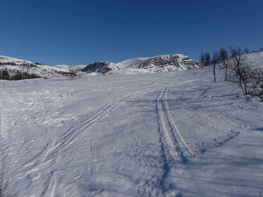 Skogen er passert og Hovmannshytten samt litt av Indre Gjevilvasskammen dukker opp.