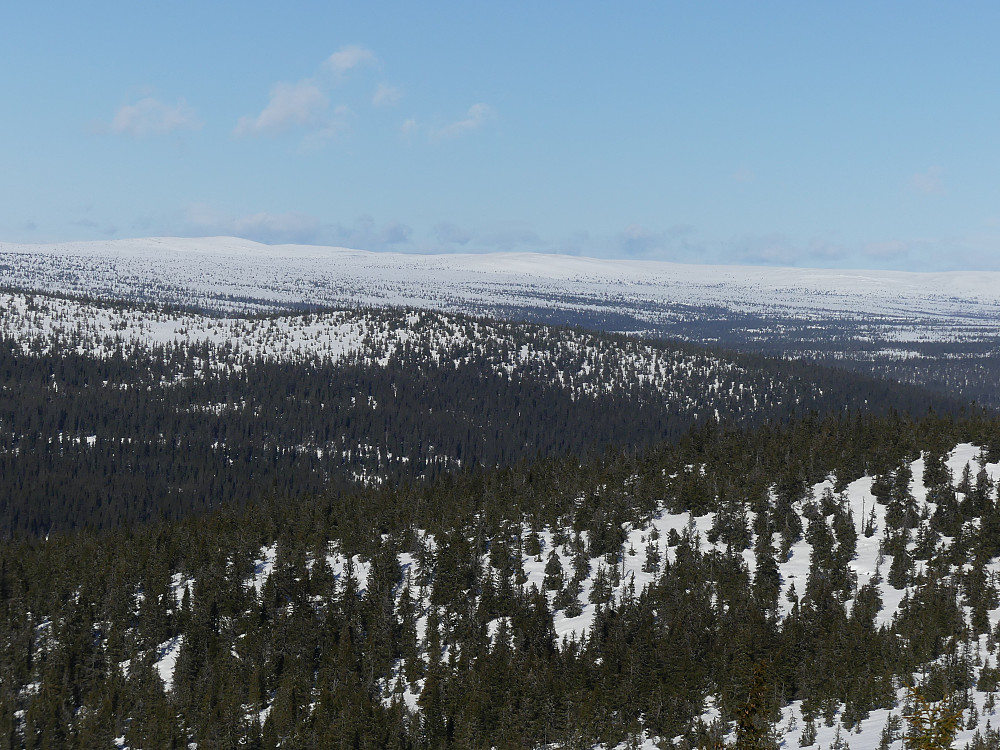 Mot NV fra Engulvsfjellet. Den skogkledde åsen midt på bildet er Nord for Gilderåsen og i bakgrunnen ser vi Hemmelkampen og Storbekkfjellet.