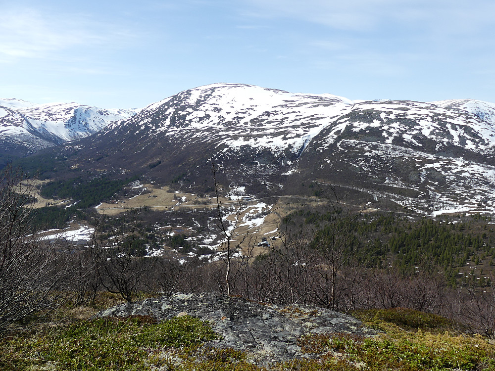Fjellbjørkeskogen forlates og utsikten bedres. Her mot Hafsåsen og Blåhøa.