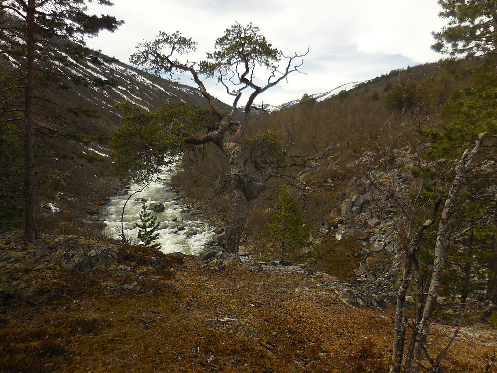 Naturskjønt i Åmotsdalen. Vestover fra Slette.