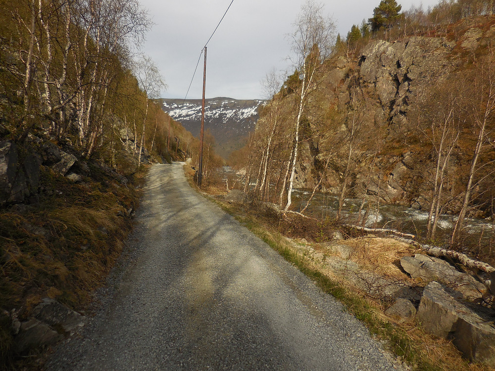 De siste metrene ned til bilen er lettgåtte.