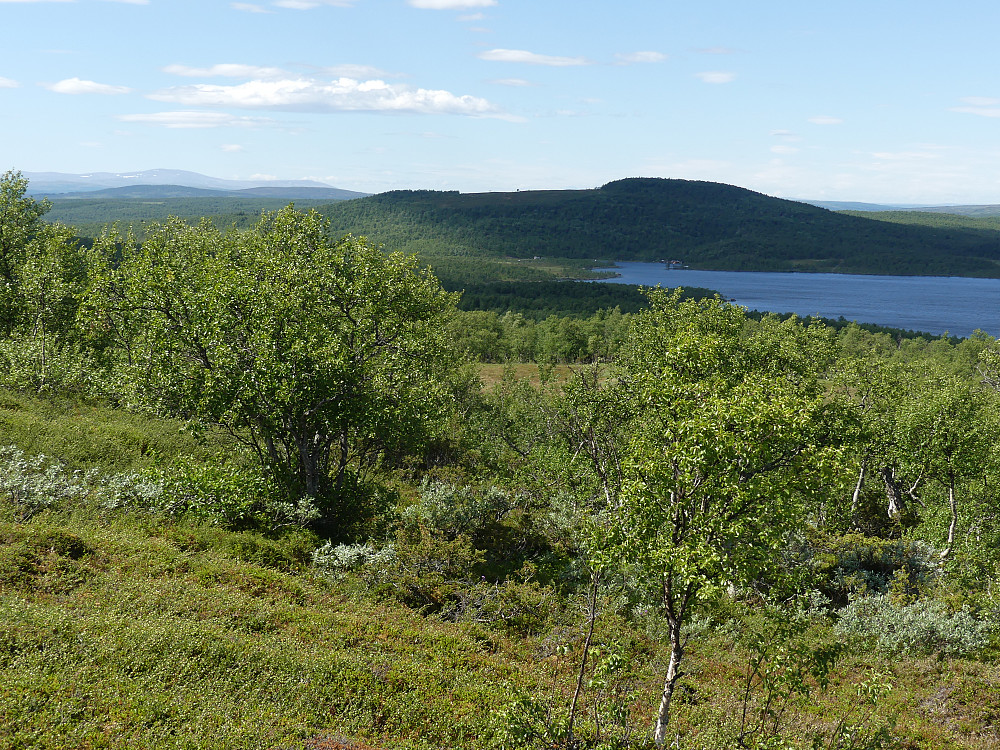 Myssmørvola fra Finnfloklumpen.