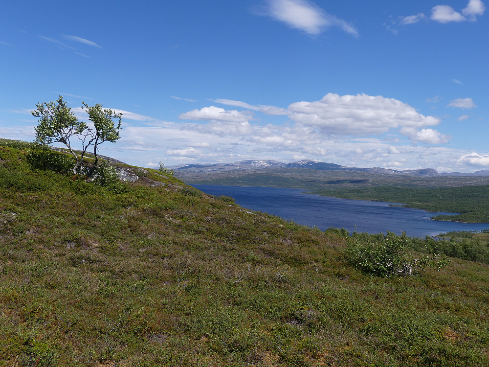 Mot Rien og Nordre Langsvola (tror jeg) fra Myssmørvola.