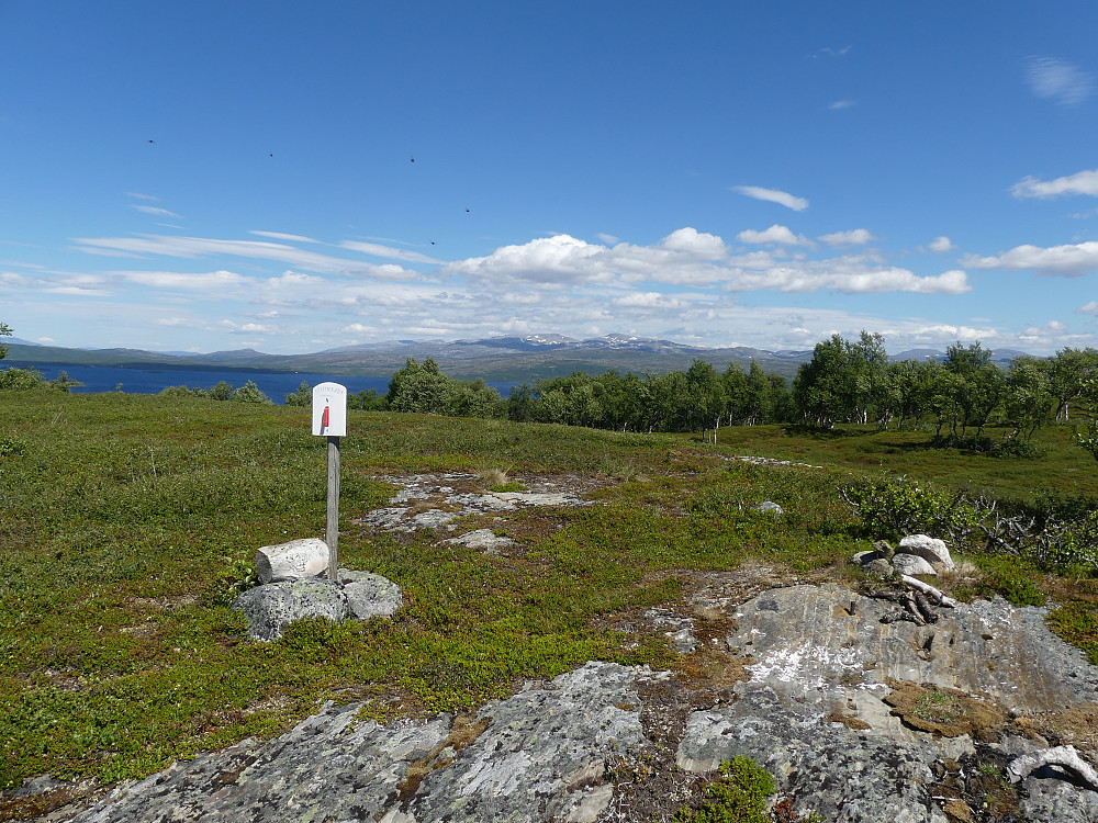 På Myssmørvola med Skardsfjella i nord.