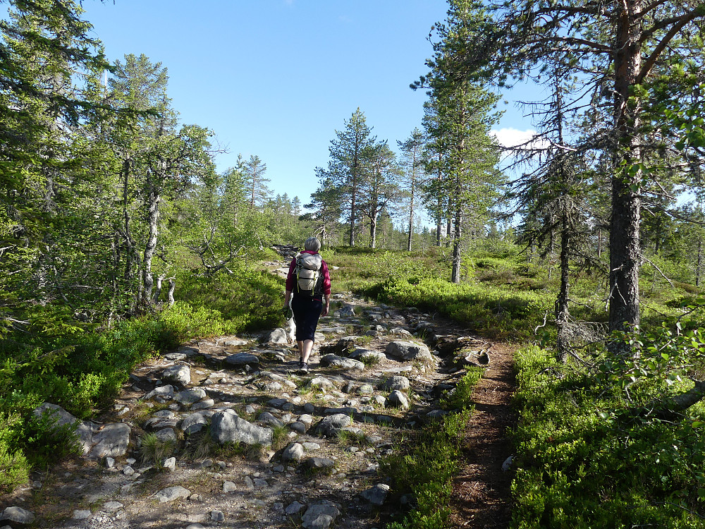 Etter steinete og godt brukt sti til Hemmelfjellet.