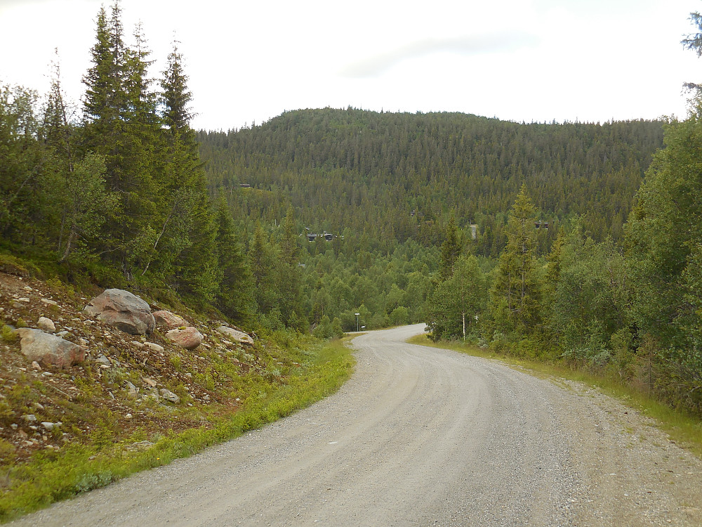 Munkhatthøgda fra Nord-Torpavegen.