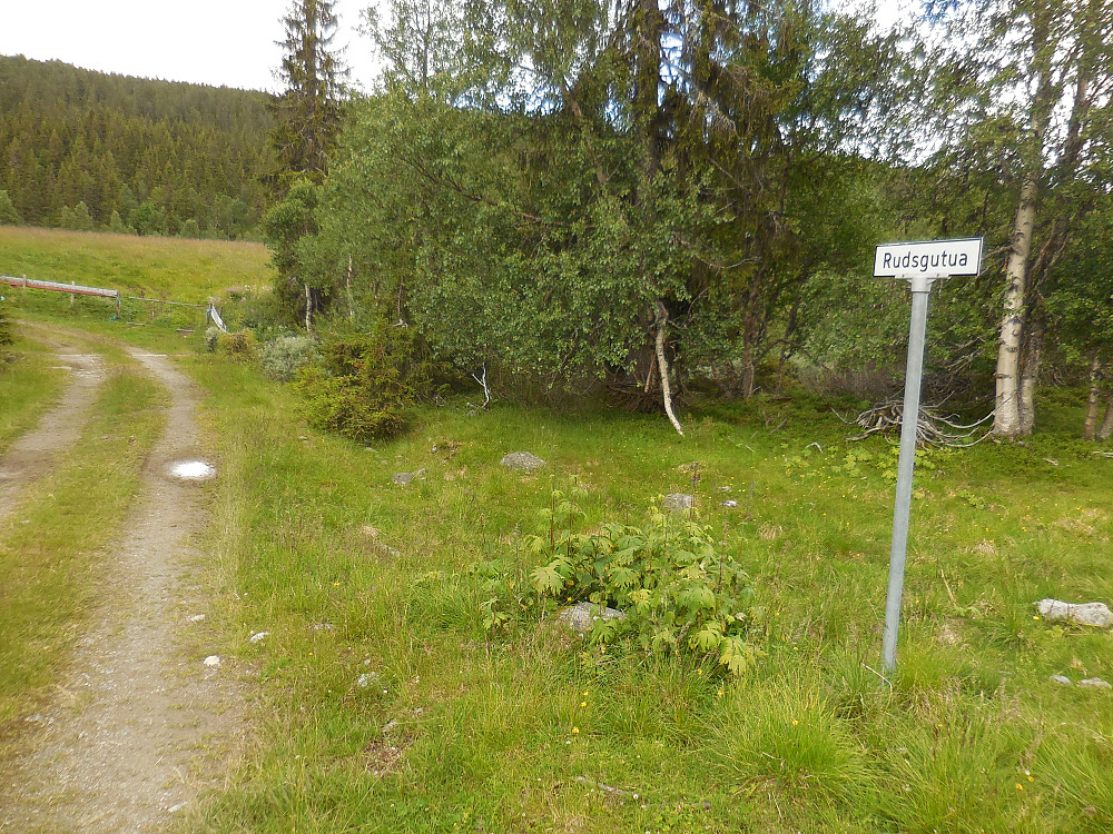 Jeg parkerer sykkelen der hvor Rudsgutua starter og følger gutua til fots nesten helt opp.