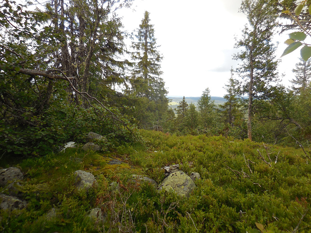 Beskjeden utsikt fra toppen av Munkhatthøgda, 988 moh.