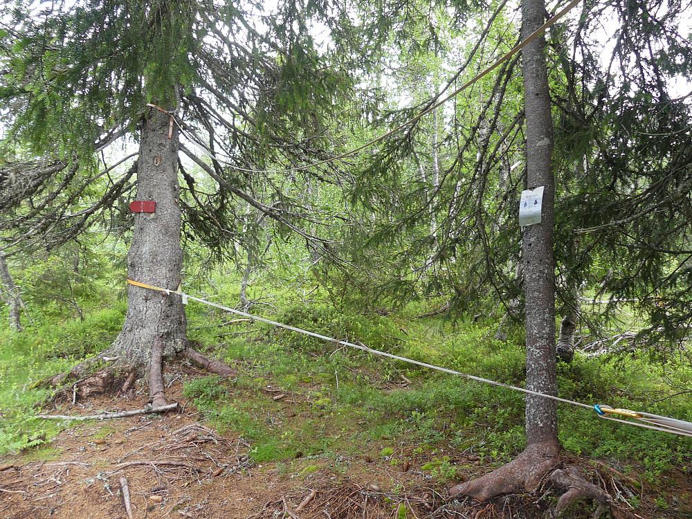 ...balansering på slakk line!