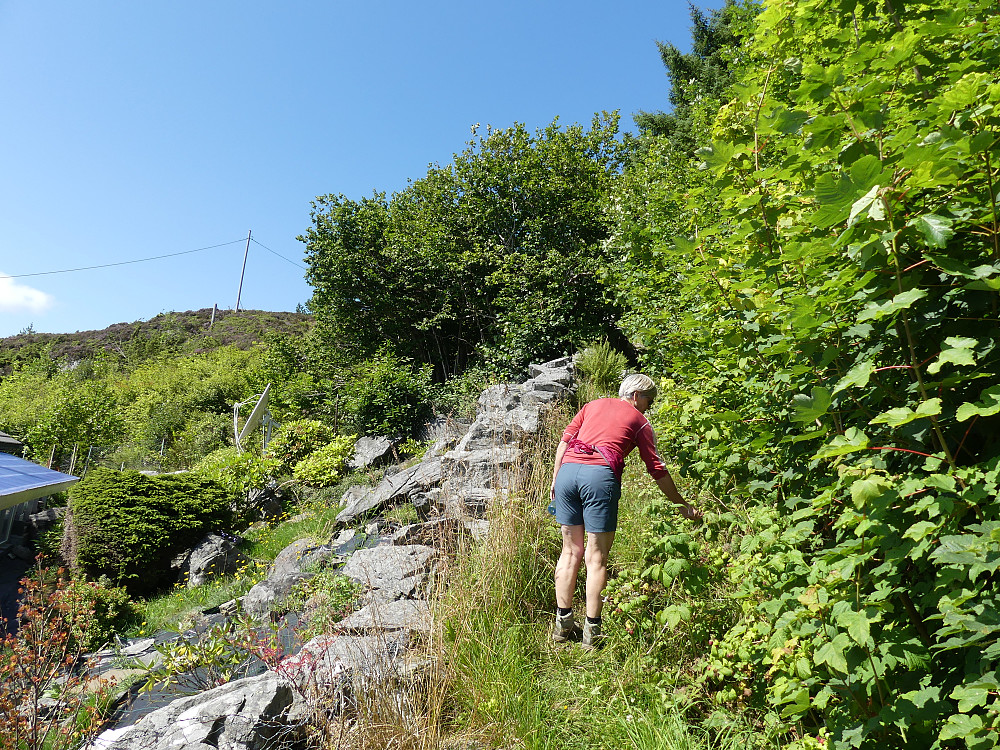 Ved stistart til Vardane på Remøya.