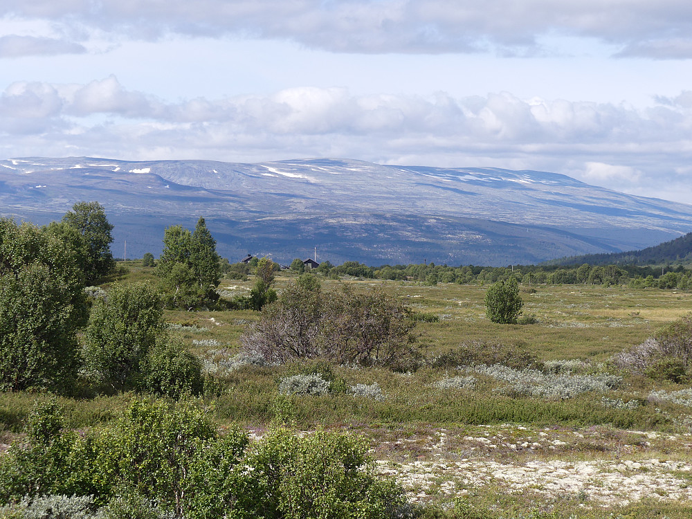 Mot Kjølen fra E6 ved Fokstua.