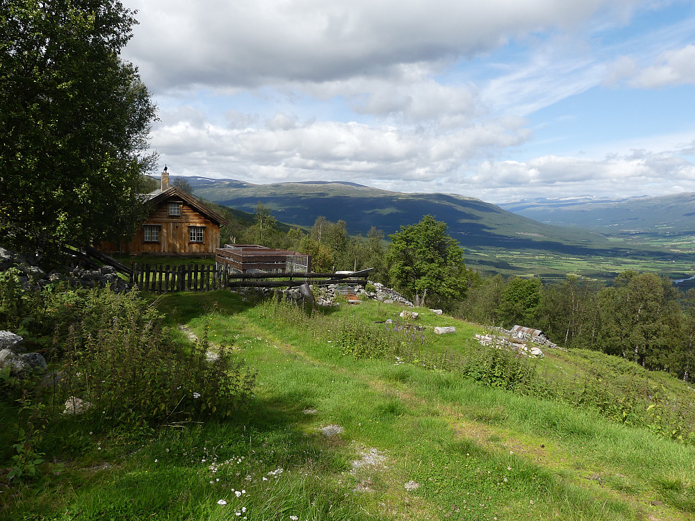 De ligger flott til seterhusene på Søre Vigga.