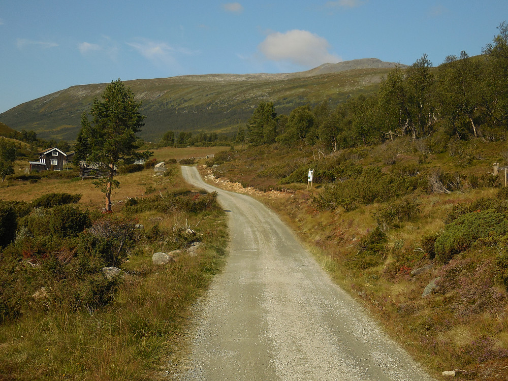 Gråhøa fra Isholsætra i Dindalen.