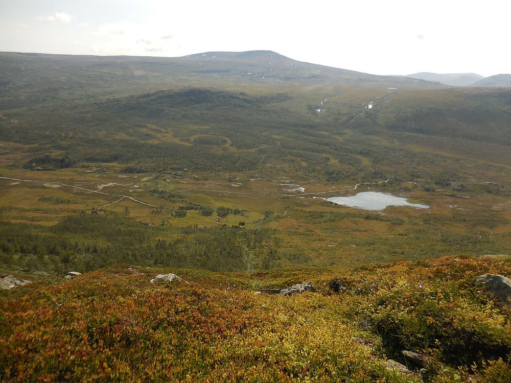 Jeg har kommet meg over 1000-metersgrensa og får lønn for svettinga, i form av god utsikt over Dindalen og til Brattskarven.