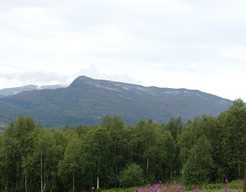Høa fra Bårdsgarden i Storlidalen.