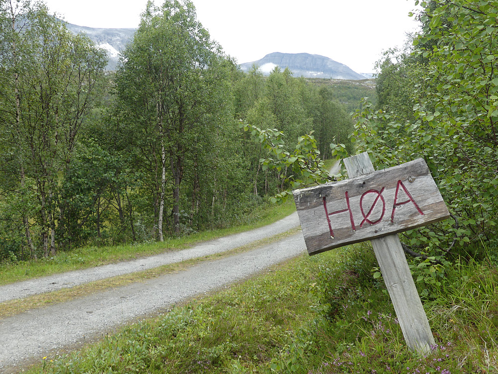 Det er tydlig merket der stien til Høa tar av fra Tovassvegen.