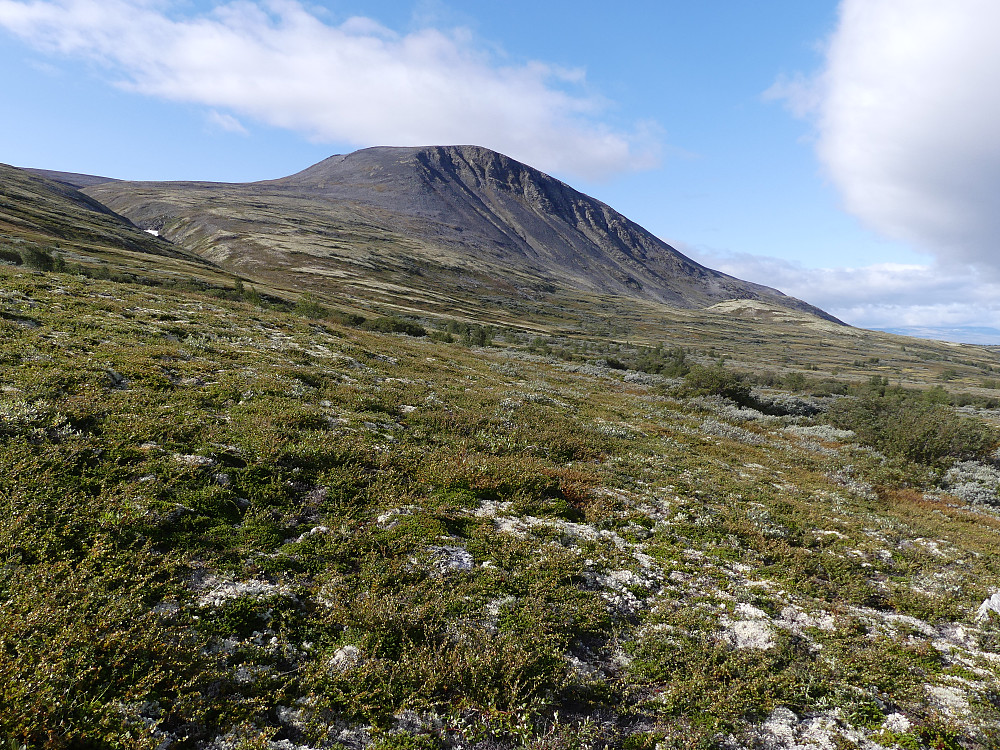 Blåberget er passert.