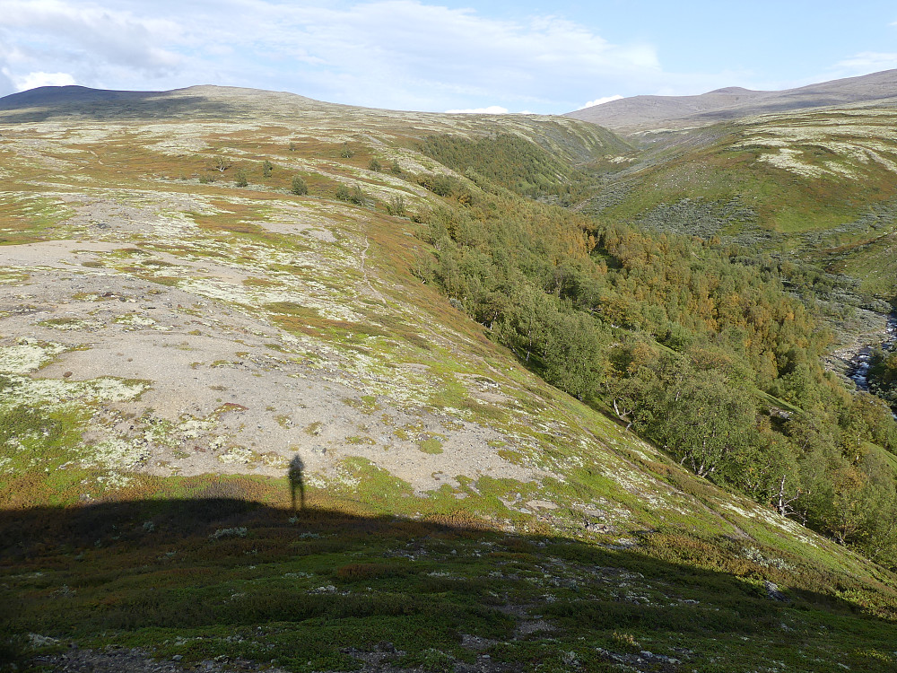 Innover Foksådalen med Blåhøe til venstre.