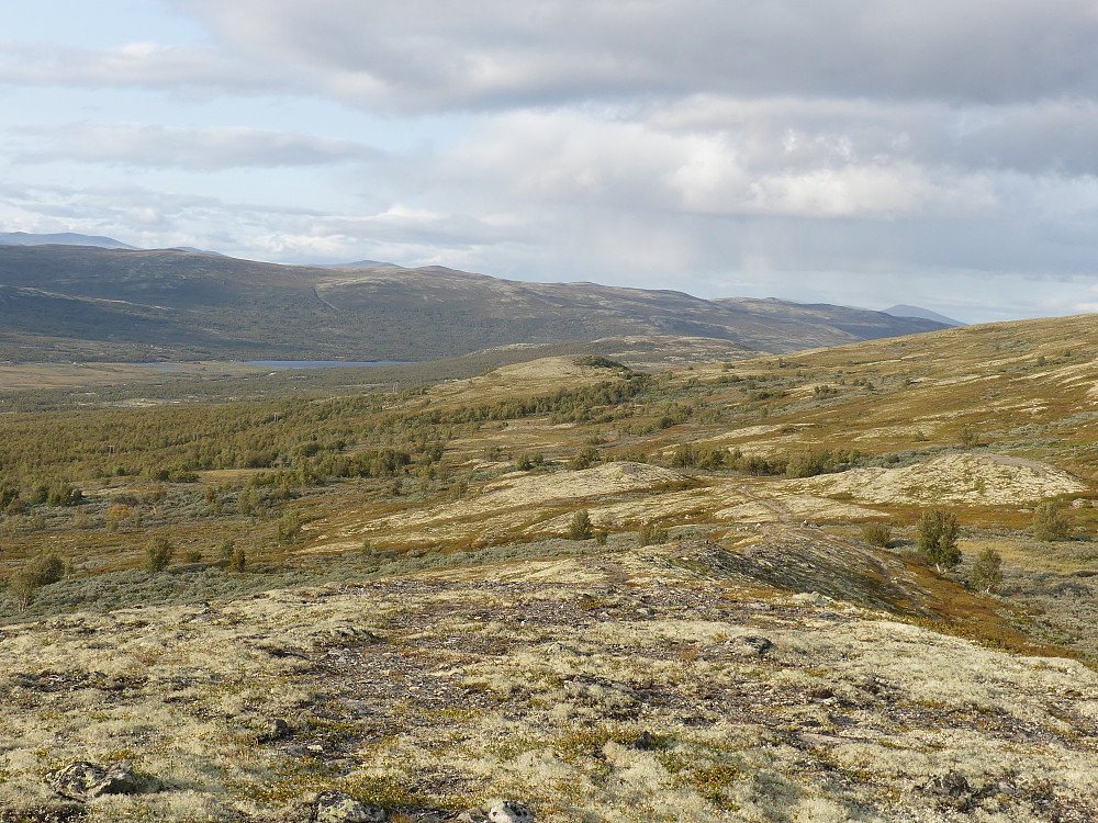 Etter Pilegrimsleden mot Furuhauglie.